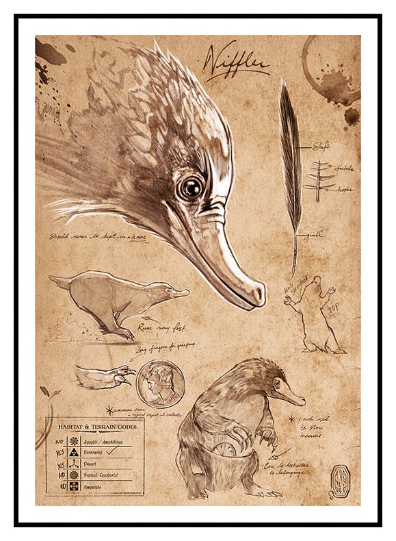 Fantastic Beasts™ - Niffler Sketch Affiche (50x70 cm) - Poster Store