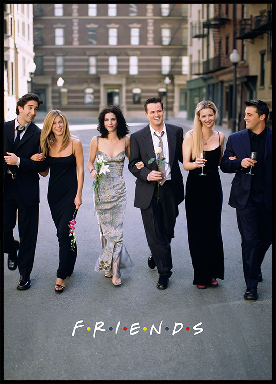 Friends™ - The Friends Portrayed No1 Affiche