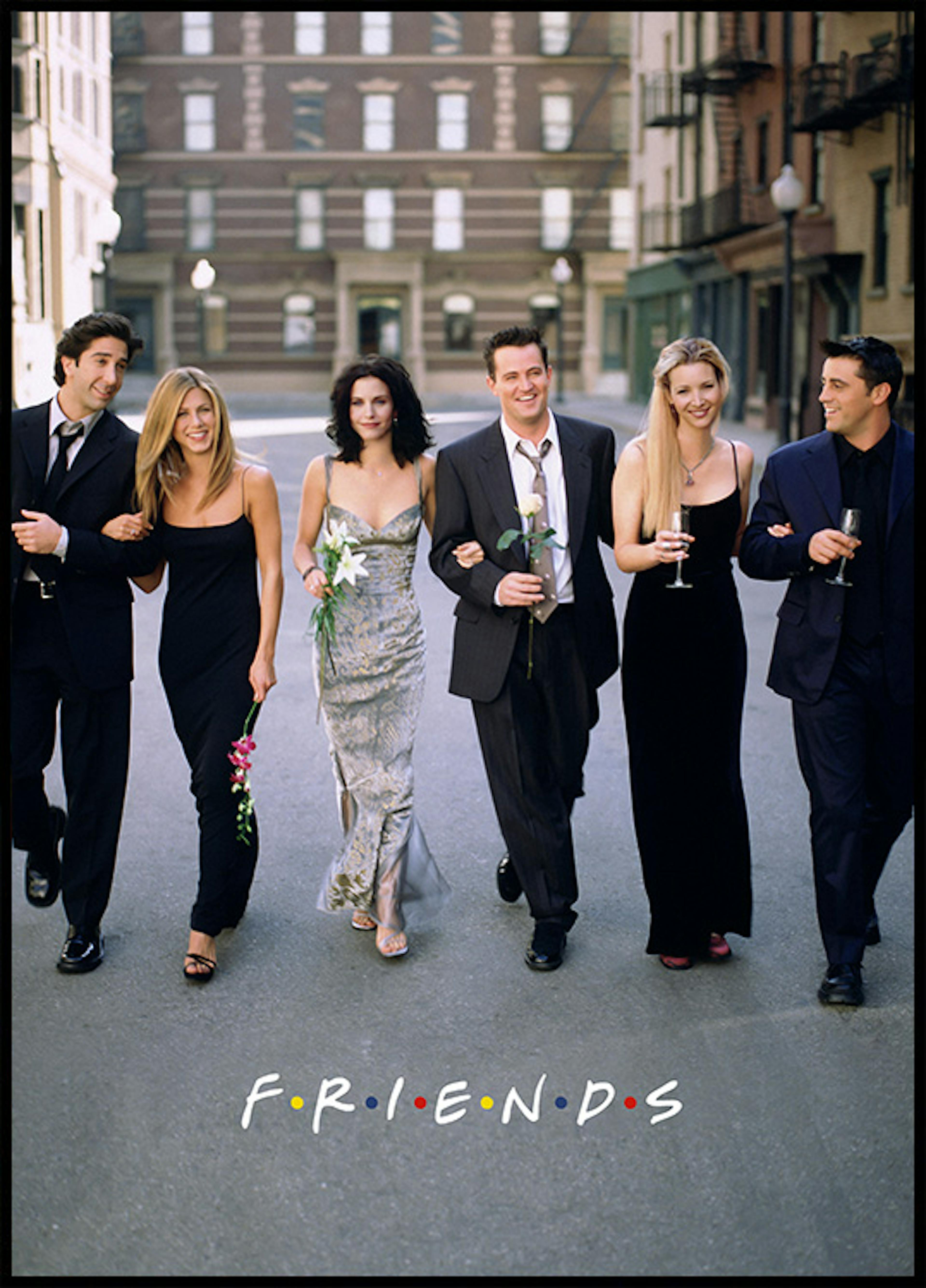 Friends™ - The Friends Portrayed No1 Affiche 0