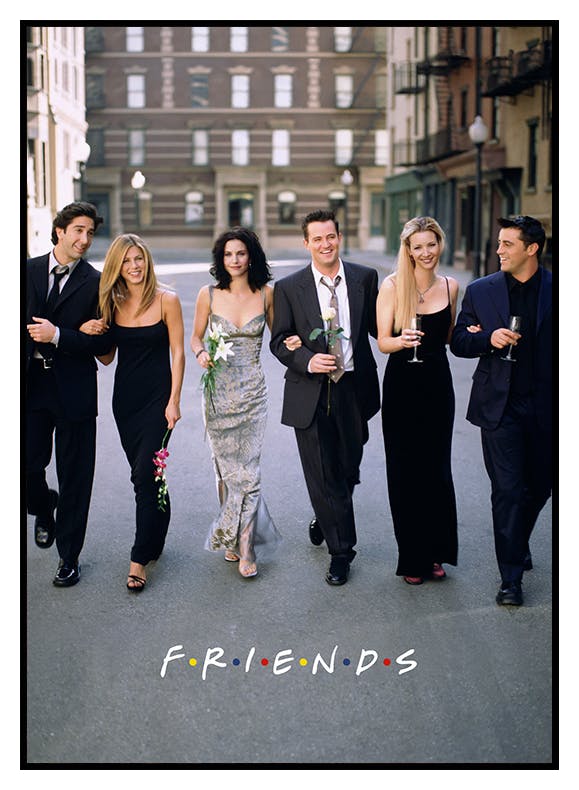 Friends™ - The Friends Portrayed No1 Poster (30x40 cm) - Poster Store