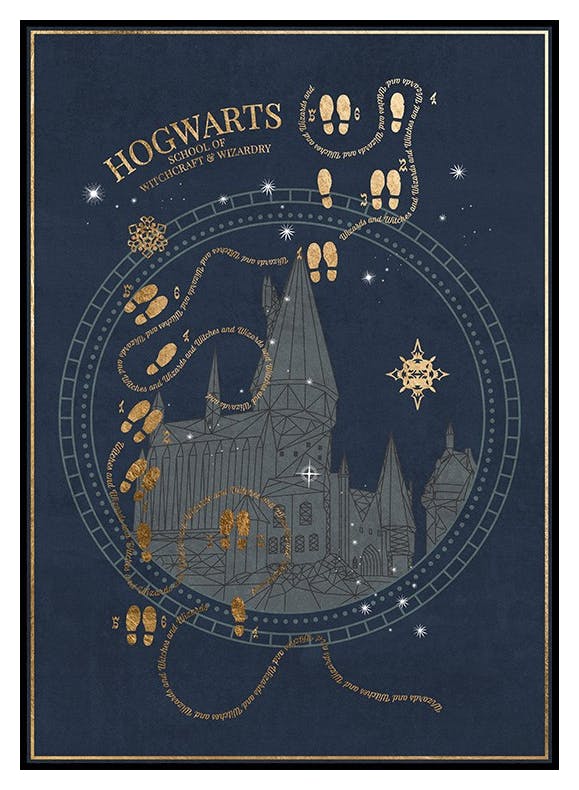 Harry Potter™ - Hogwarts School Plakat (30x40 cm) - Poster Store