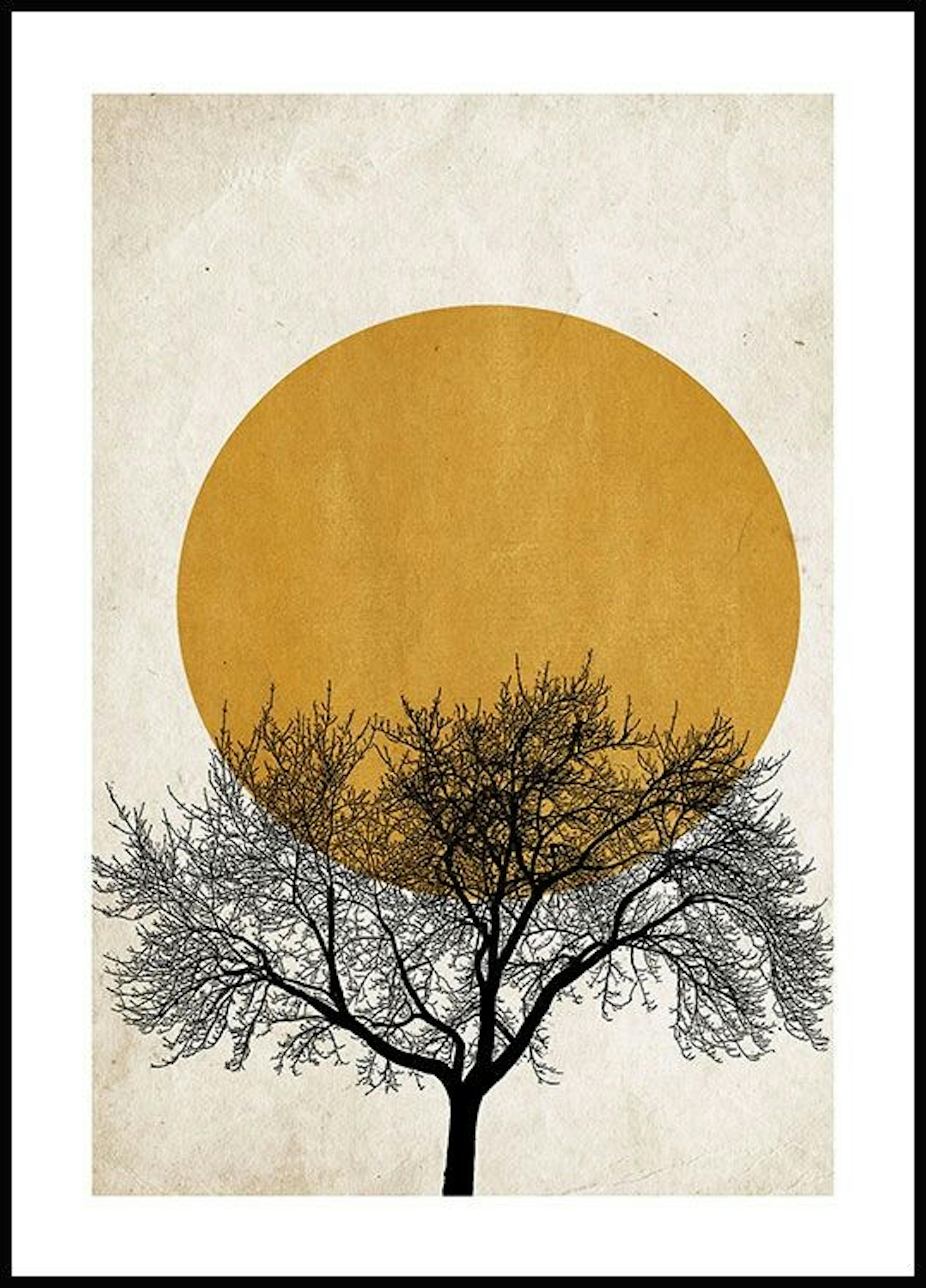 冬の太陽と木 ポスター 0