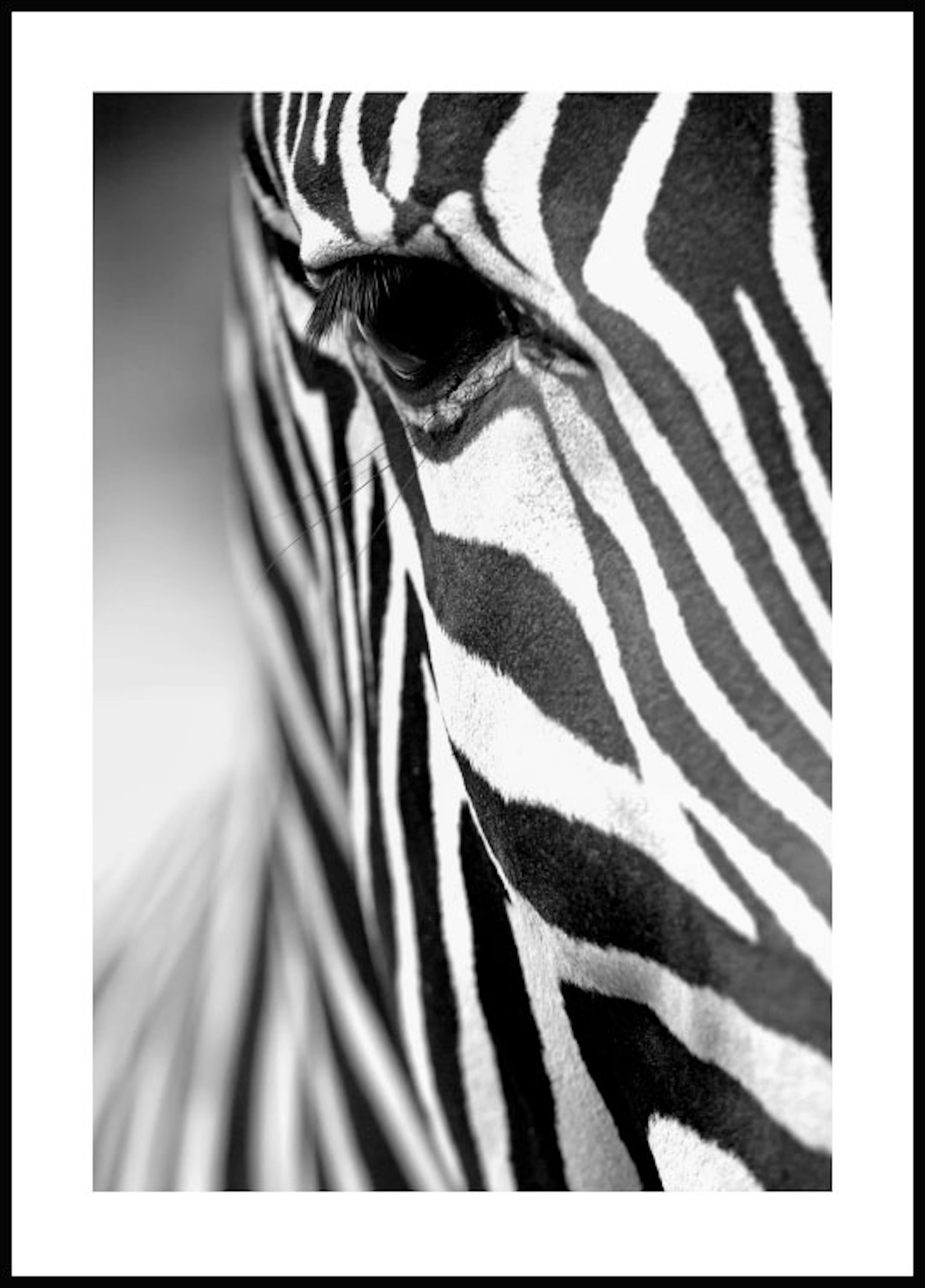 Zebra Stripes Plakat 0